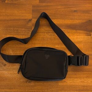 Aritzia Fanny Pack